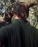 ARBR0266.jpg