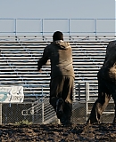 ARBR0287.jpg