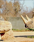 ARBR0103.jpg