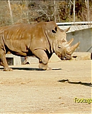 ARBR0108.jpg