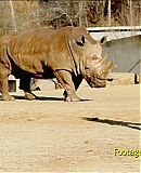 ARBR0109.jpg