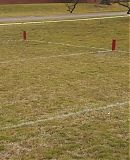 ARBR1048.jpg