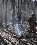 ARBR0011.jpg