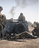 ARBR0017.jpg