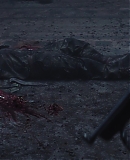 ARBR0414.jpg