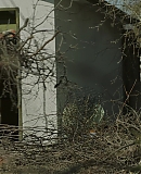 ARBR0307.jpg