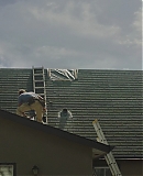 ARBR0318.jpg