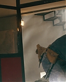 ARBR0320.jpg